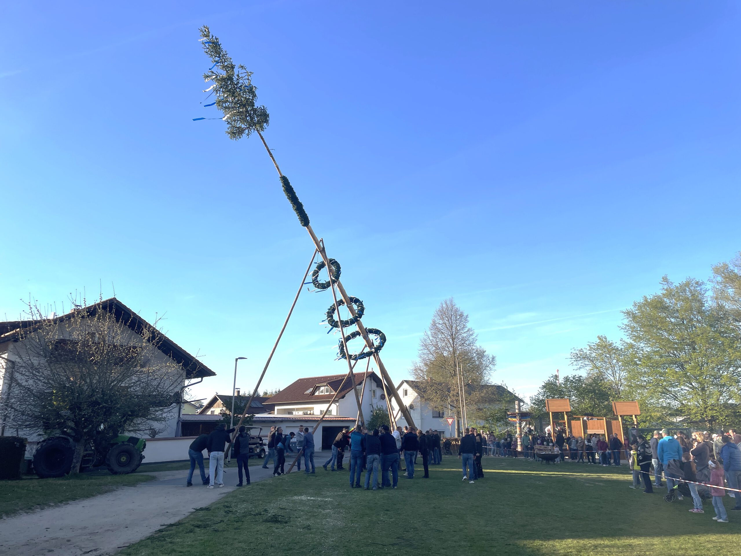 Im Beisein zahlreicher Zuschauer hievten die Katzbacher einen stattlichen Maibaum in die Vertikale.